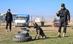 Hava Kuvvetleri'nin hassas burunları: Kahraman köpekler