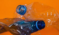 Geri dönüştürülen plastiklerin kullanımı halk sağlığını daha fazla tehdit edebilir