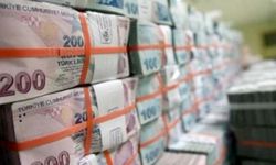 Türkiye'nin vergi rekortmenleri belli oldu