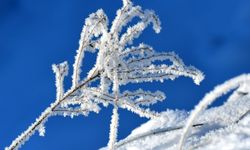 Kars Sarıkamış'ta soğuk hava etkili oldu
