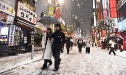 Tokyo ve çevresindeki yoğun kar yağışı sebebiyle 240 yaralandı