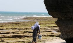 İran, Keşm Adası'nı ana karaya bağlayacak köprünün yapımı için Çinlilerle anlaştı