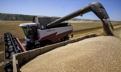 Rusya, Afrika'daki bazı ülkelere bedelsiz 200 bin ton tahıl sevkiyatı yaptı