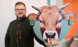 Bilişim Vadisi'nde süt ve besi hayvancılığı için yapay zeka destekli ürünler geliştiriliyor