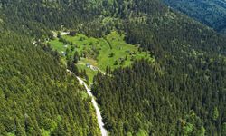 Trabzon'un saklı cenneti: Kumanında Yaylası