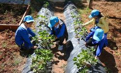 Türkiye'nin ilk agro kütüphanesi Uluslararası Yeşil Kütüphane Ödülü için ilk 5'te