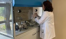 Türk bilim insanları prostatta mikroplastik tespit etti