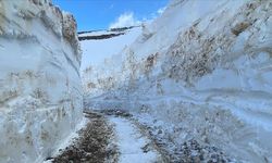 Meteorolojiden Van ve Hakkari için kar erimesine bağlı heyelan uyarısı