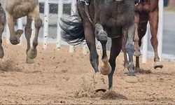 At yarışlarında "doping" kavramı yerine "yasaklı madde" ifadesi kullanılacak