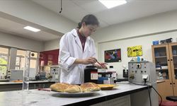 Ortaokul öğrencisi, bitki özlerinden ekmeğin küflenmesini geciktiren katkı maddesi üretti