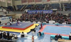 Wushuda 2024 "şampiyonluklar yılı" ilan edildi