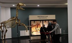Sivas'taki müzede tabiat tarihi 3 bin örnekle anlatılıyor