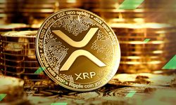 XRP Balinaları Bu Sefer Şaşırttı: Alım Mı Yapıyorlar, Satış Mı Yapıyorlar?