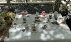 Ata tohumlarını gelecek nesillere aktarmak için ücretsiz dağıtıyor