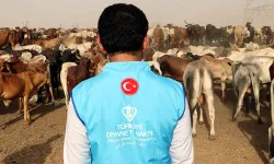 Türkiye Diyanet Vakfı, Endonezya'da 1200 büyükbaş kurbanlık kesecek
