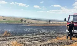 Tekirdağ'da buğday tarlasında çıkan yangın söndürüldü
