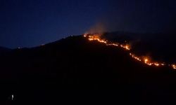 Manisa'da tarım alanından ormana sıçrayan yangın kontrol altına alındı