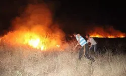 Şanlıurfa'da atış poligonunda çıkan yangın söndürüldü