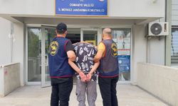 Osmaniye'de 29 yıl hapis cezasıyla aranan hükümlü yakalandı