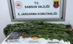 Samsun'da uyuşturucu operasyonlarında 7 kişi yakalandı