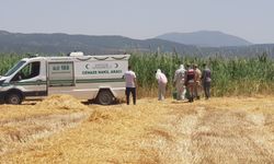 Gaziantep'te sazlık alanda erkek cesedi bulundu