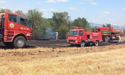Edirne'de anız alanından ormana sıçrayan yangın söndürüldü