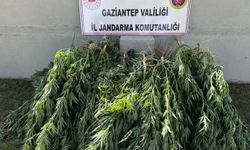 Gaziantep'te uyuşturucu operasyonunda 4 şüpheli yakalandı
