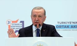 Cumhurbaşkanı Erdoğan: Netanyahu denen gözünü kan bürümüş muhterise artık dur denilmeli