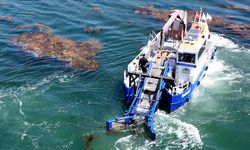 İzmit Körfezi'nde 16 yılda yaklaşık 8 bin metreküp deniz çöpü toplandı