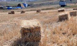 Kırklareli'nde çıkan yangında 300 saman balyası zarar gördü