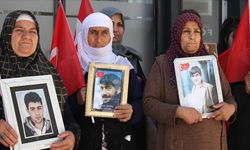 Vanlı aileler DEM Parti İl Başkanlığı önündeki eylemlerini sürdürdü