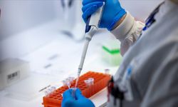 Meksika'da A(H5N2) virüsü nedeniyle ilk ölümcül vaka