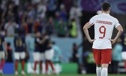EURO 2024'te D Grubu: Polonya