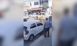 Büyükçekmece'de sahibinden kaçan boğa uyuşturucu iğneyle vurulup yakalandı