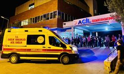 Diyarbakır ve Mardin'deki anız yangınlarında 3 kişi daha hayatını kaybetti
