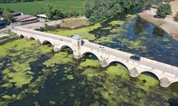 Tunca Nehri'nde yosun sorunu: Yosun ve su mercimekleriyle kaplandı