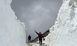 Rize'de yüksek rakımlı yayla yollarında kar temizleme çalışmaları sürüyor