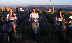 Tekirdağ'daki "mor tarlalar" motosikletlilerin stüdyosu oldu