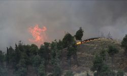 Denizli'deki orman yangınıyla ilgili 3 kişi gözaltına alındı