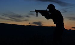 Van'da terör operasyonunda 18 şüpheli hakkında işlem yapıldı