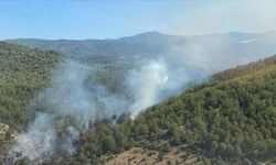 Muğla'nın Milas ilçesinde çıkan orman yangını söndürüldü