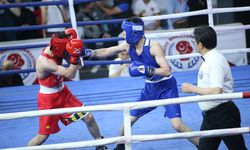 Türk boksunda 2024'te eski yapı değişti