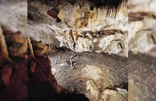 La Garma Mağarası'nda tarihi keşif