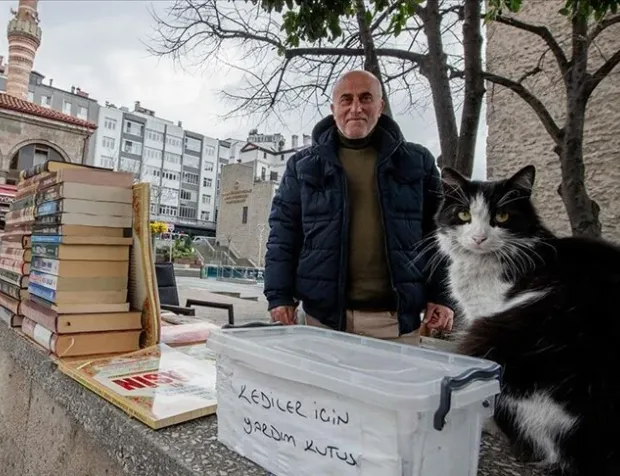 Bağış kutusuna atılan paralarla 15 yıldır sahipsiz kedileri besliyor