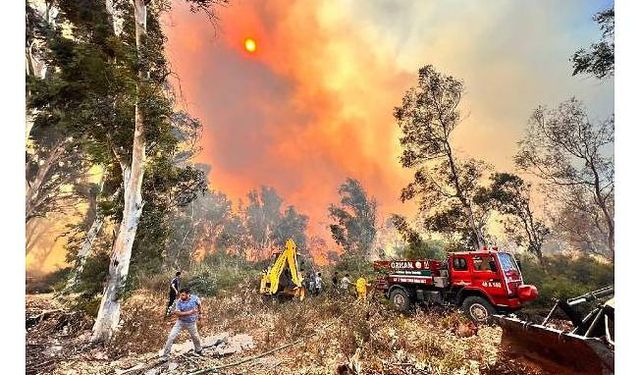 Antalya'daki orman yangınında 15 hektar zarar gördü