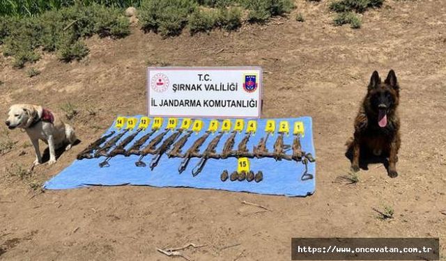 İçişleri: Şırnak'ta toprağa gömülü çok sayıda silah ve bomba ele geçirildi