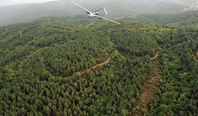 İnsansız hava araçlarıyla dakikada 12,5 milyon hektar orman taranıyor