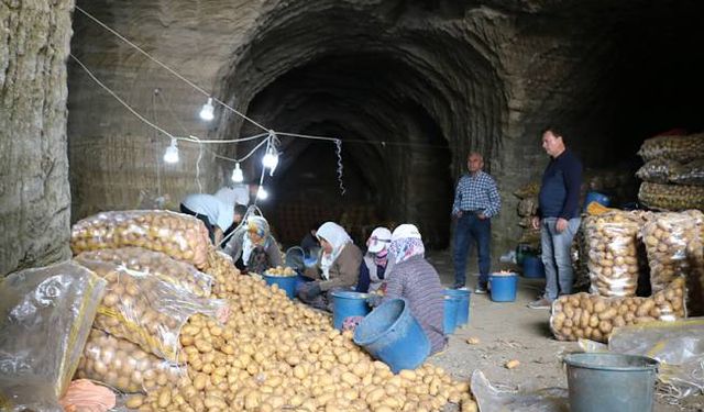 Afyonkarahisar'da patatesler, mağaralarda depolanıyor