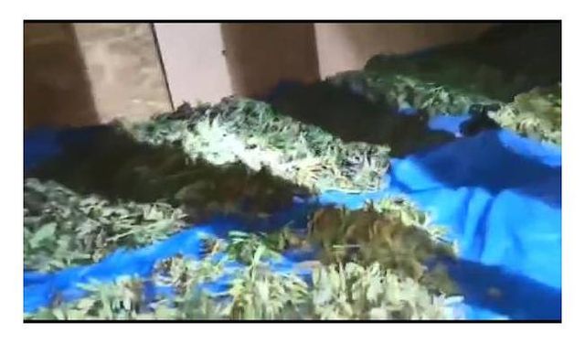 Beykoz'da polis 9 kilo 565 gram uyuşturucu ele geçirdi