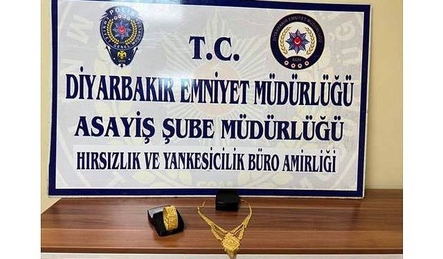 Diyarbakır'da villalardan hırsızlık yapan şebeke çökertildi